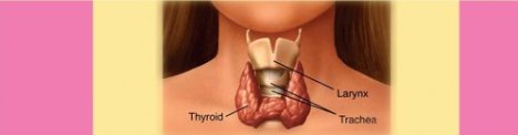 Thyroid-Parathyroid-Surgery